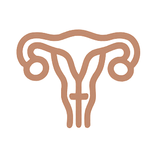 Equilibrio hormonal PNI Idoia Chair