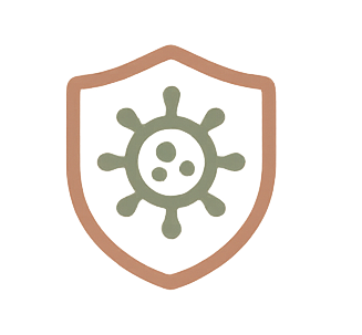 Salud inmunológica PNI Idoia Chair