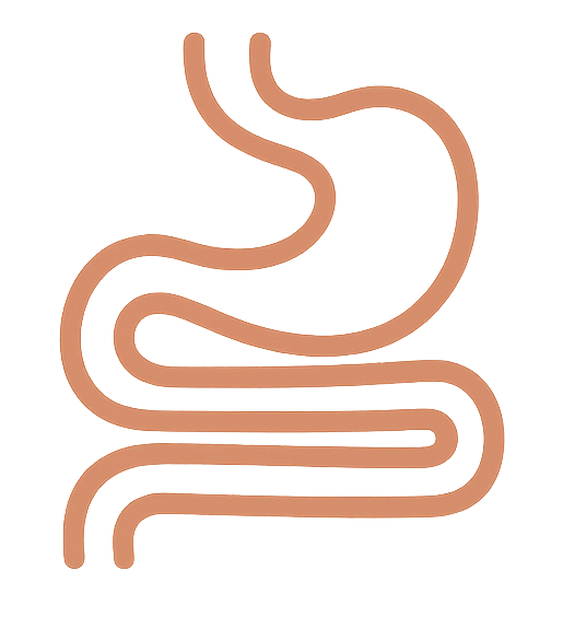 Tratamiento problemas digestivos PNI Zaragoza - SIBO, disbiosis, Helicobacter